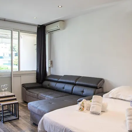 Palm Paradise Next To The Croisette