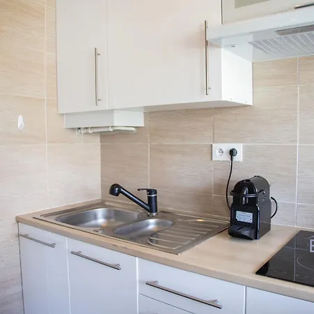 Palm Paradise Next To The Croisette * Cannes